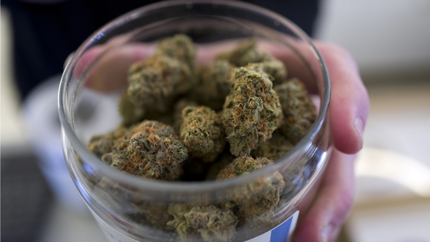 Oregon Too Much Pot